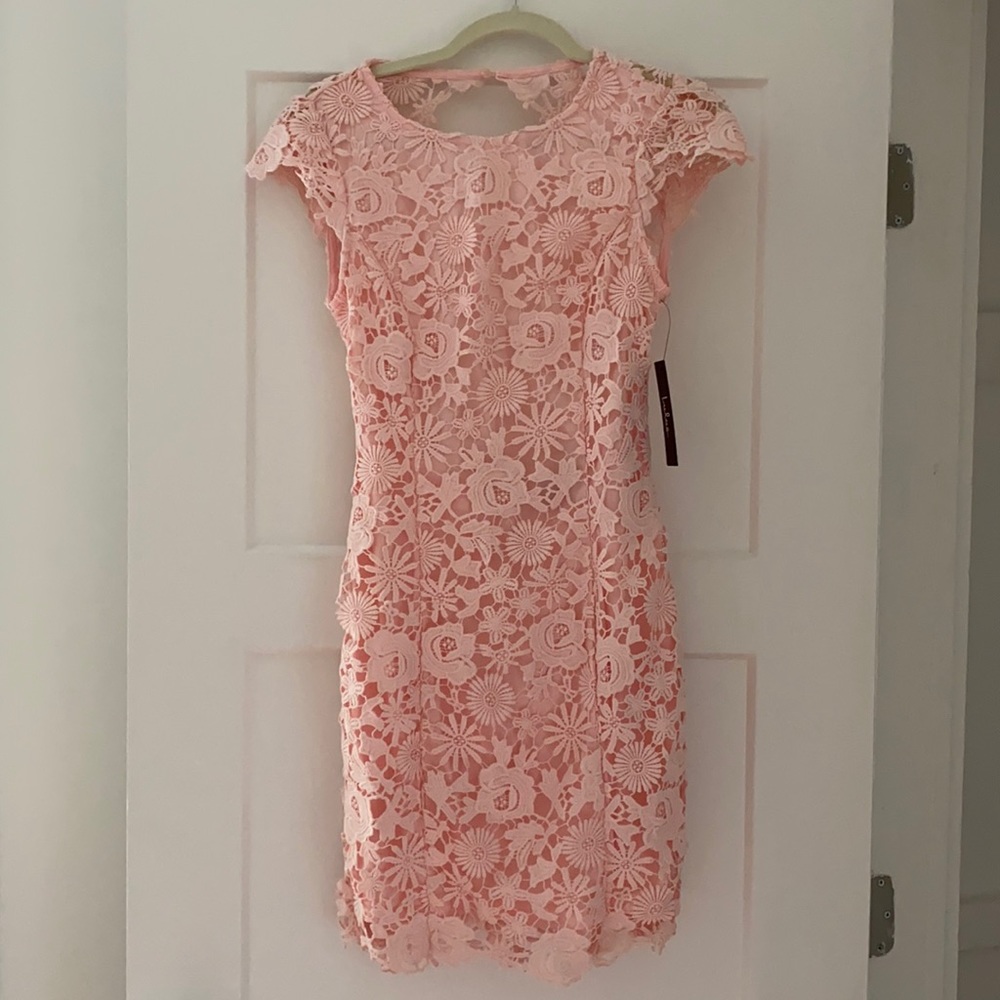 Lulus Pink Lace Dress